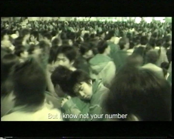 Locust 遺失的蝗蟲