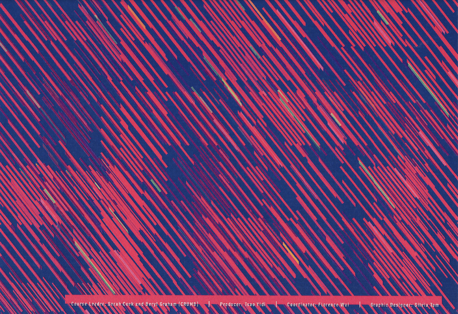 Curating Art Afer New Media HK - 5-Day Professional Development Course