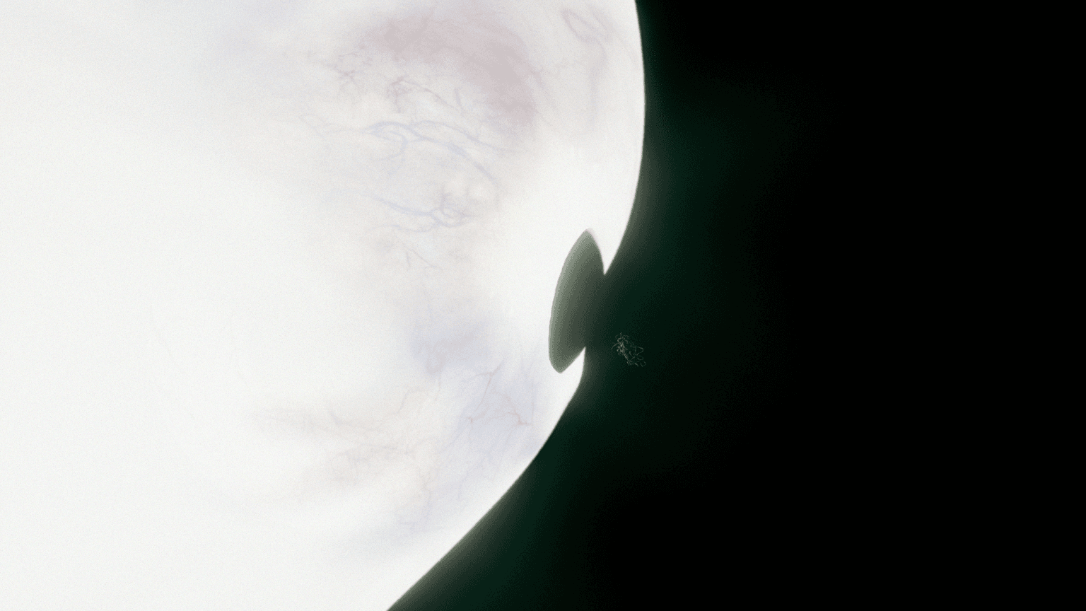 Nothing Really Happened